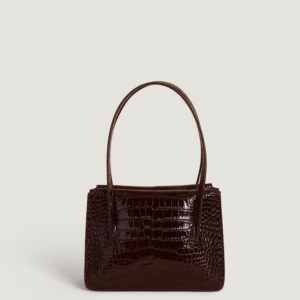 Alternative view of Sac LE J