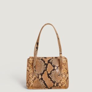 Alternative view of Sac LE J